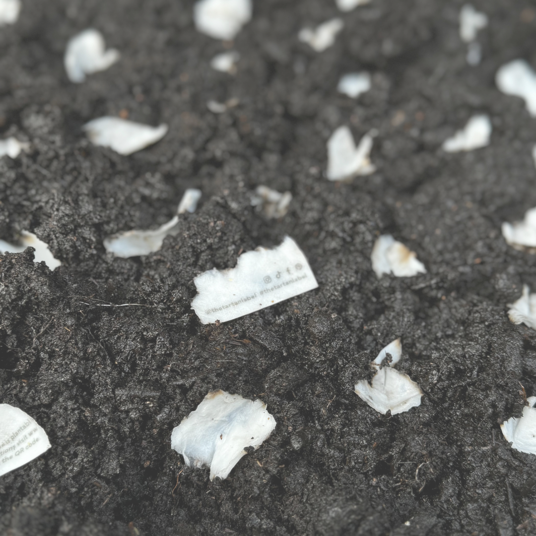 Celebrating Earth Day, How The Tartan Label is making a difference