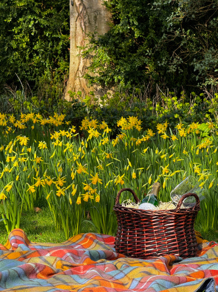 Buchanan antique picnic blanket
