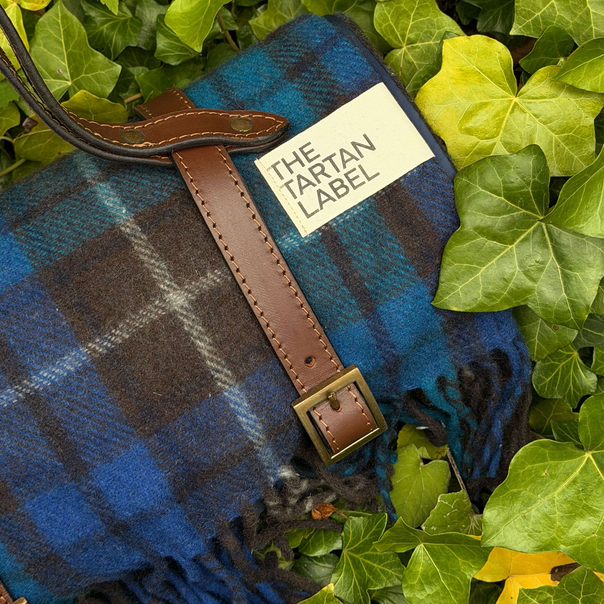 Buchanan blue picnic blanket