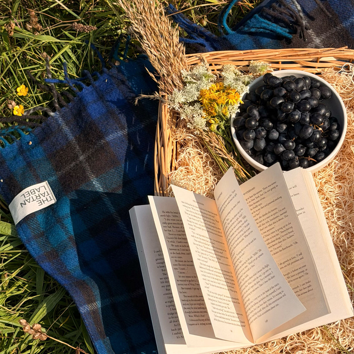 Buchanan blue picnic blanket